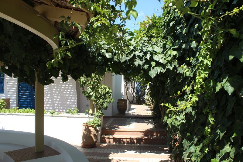 Villa Paradise - Genel