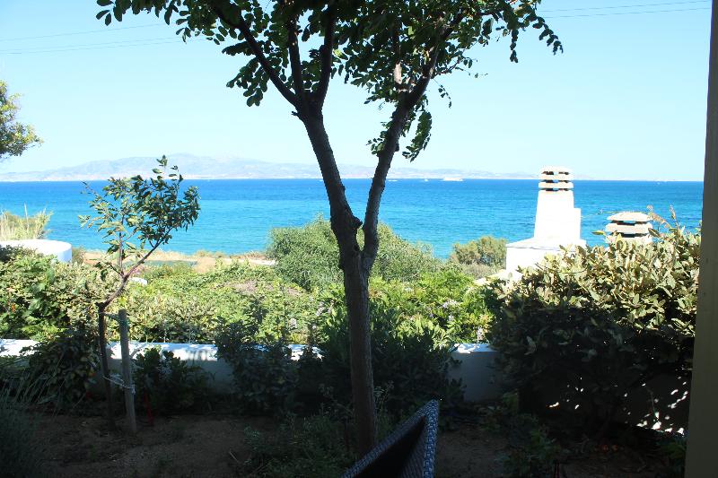 Villa Paradise - Genel