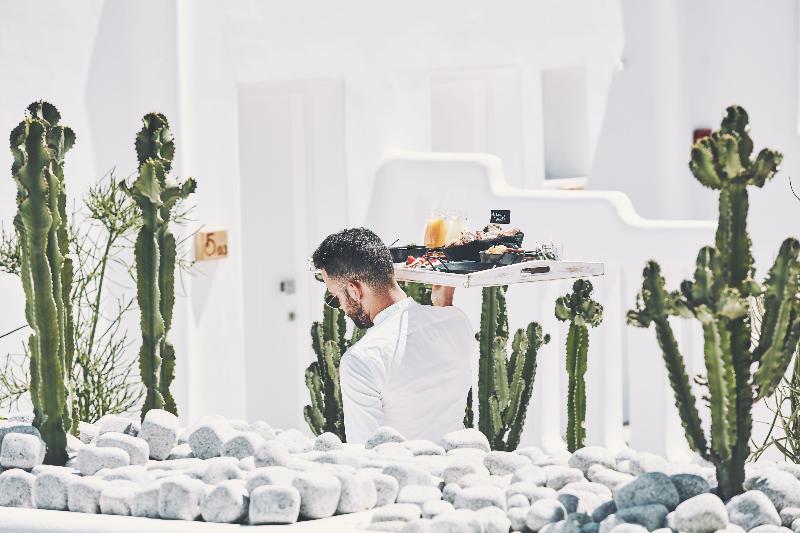 Mykonos No5 - Genel