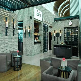 Dubai International Terminal Hotel fotoÄŸrafÄ±