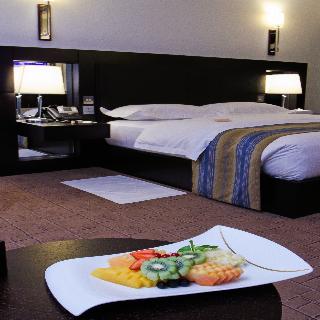 Dubai International Terminal Hotel fotoÄŸrafÄ±