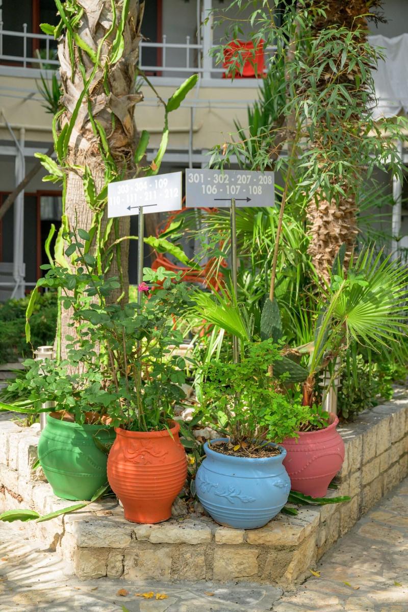 Rouda Bay Beach Hotel - Teras