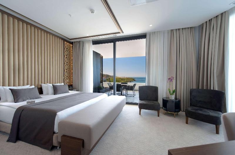 Ramada Plaza By Wyndham Trabzon - Oda
