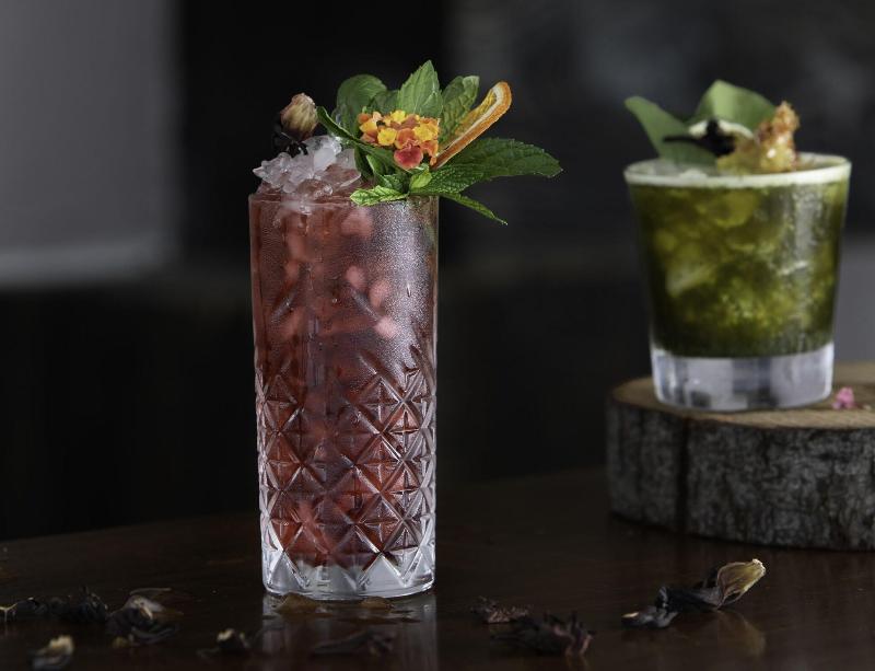 Senses Hotel Ex Leka Hotel - Bar