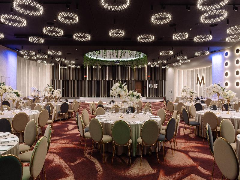 International Iasi Hotel - Toplantı