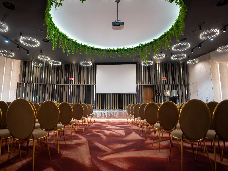 International Iasi Hotel - Toplantı
