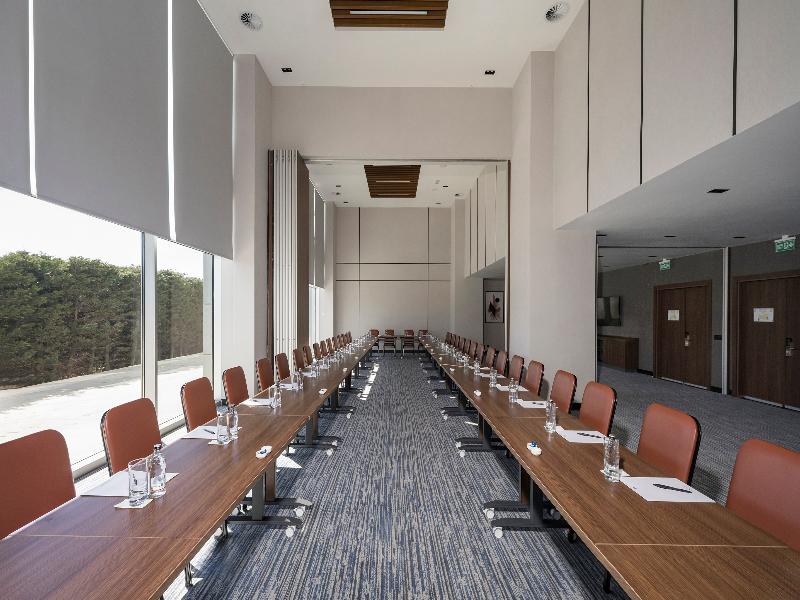 Crowne Plaza ISTANBUL - WEST by IHG - Toplantı