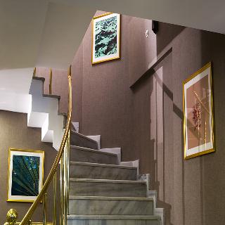 Molton Monapart Mecidiyekoy fotoÄŸrafÄ±