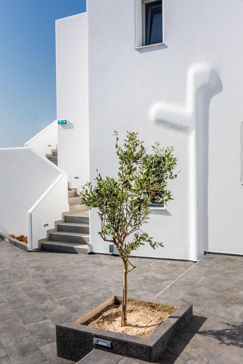 Olea Bay Hotel - Genel