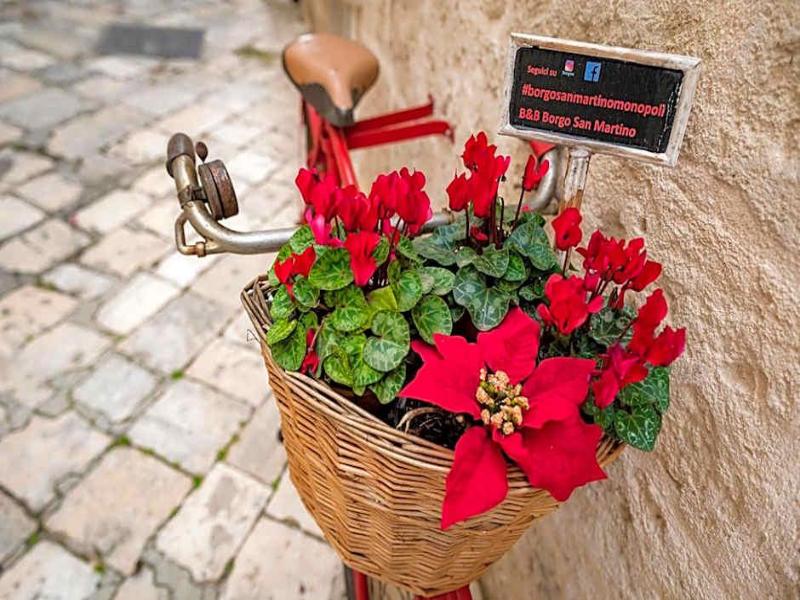 B&B Borgo San Martino - Genel
