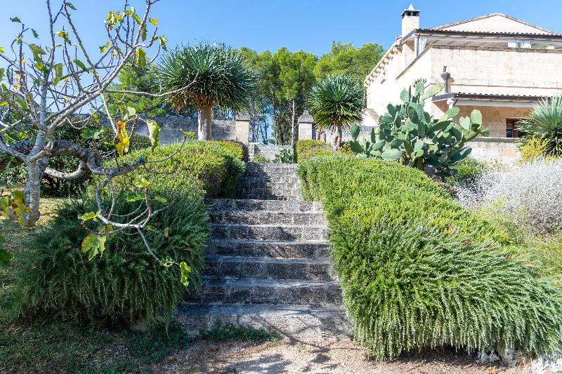 Masseria Caliani - Lobi
