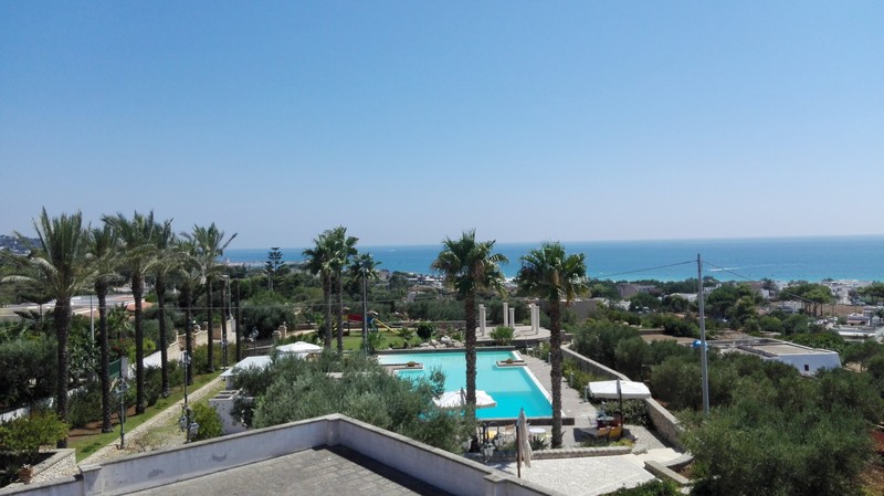 Picchio Hotel - Genel