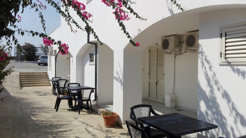 Picchio Hotel - Genel