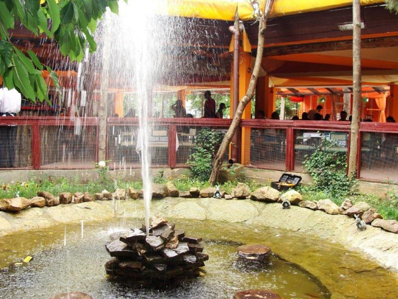 Majestic Olimp - Restoran
