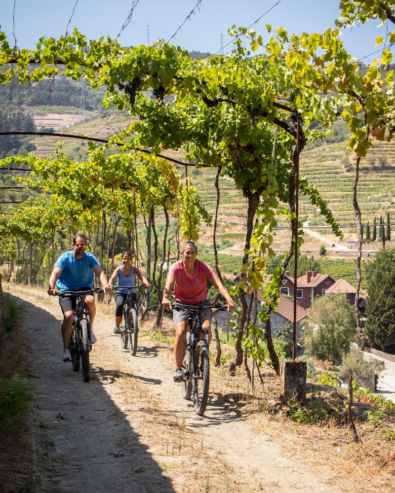 Six Senses Douro Valley - Aktivite