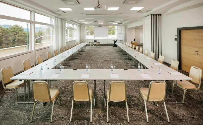 Arcotel Nike Linz - Toplantı