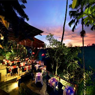 Jungle Retreat By Kupu Kupu Barong fotoÄŸrafÄ±