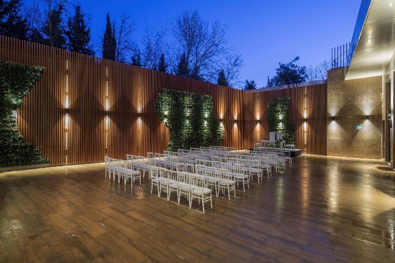 Hilton Garden Inn Istanbul Ataturk Airport - Toplantı