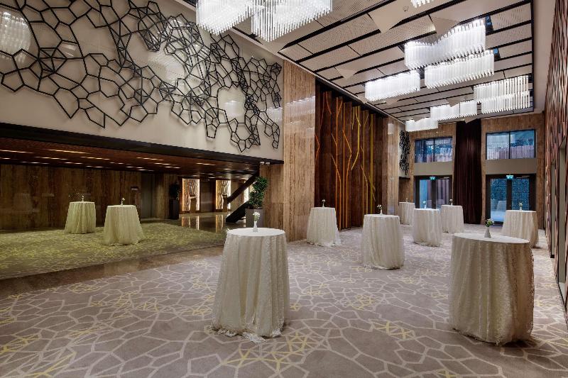Hilton Garden Inn Istanbul Ataturk Airport - Toplantı