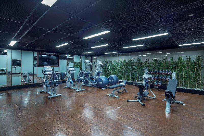 Hilton Garden Inn Istanbul Ataturk Airport - Aktivite