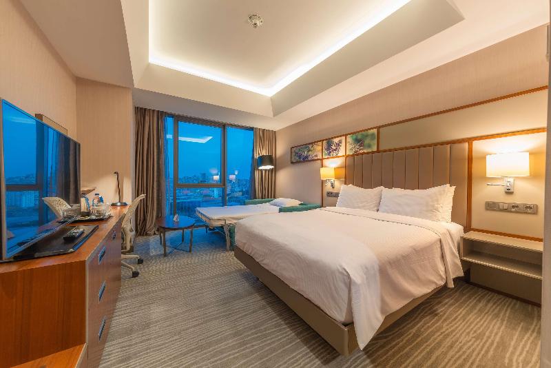 Hilton Garden Inn Istanbul Ataturk Airport - Oda