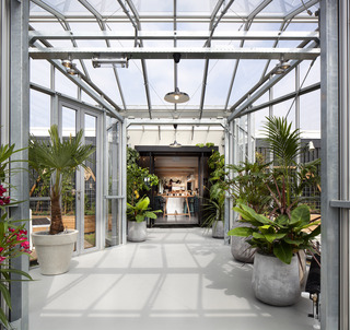 Zoku Amsterdam fotoÄŸrafÄ±