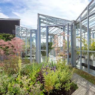 Zoku Amsterdam fotoÄŸrafÄ±