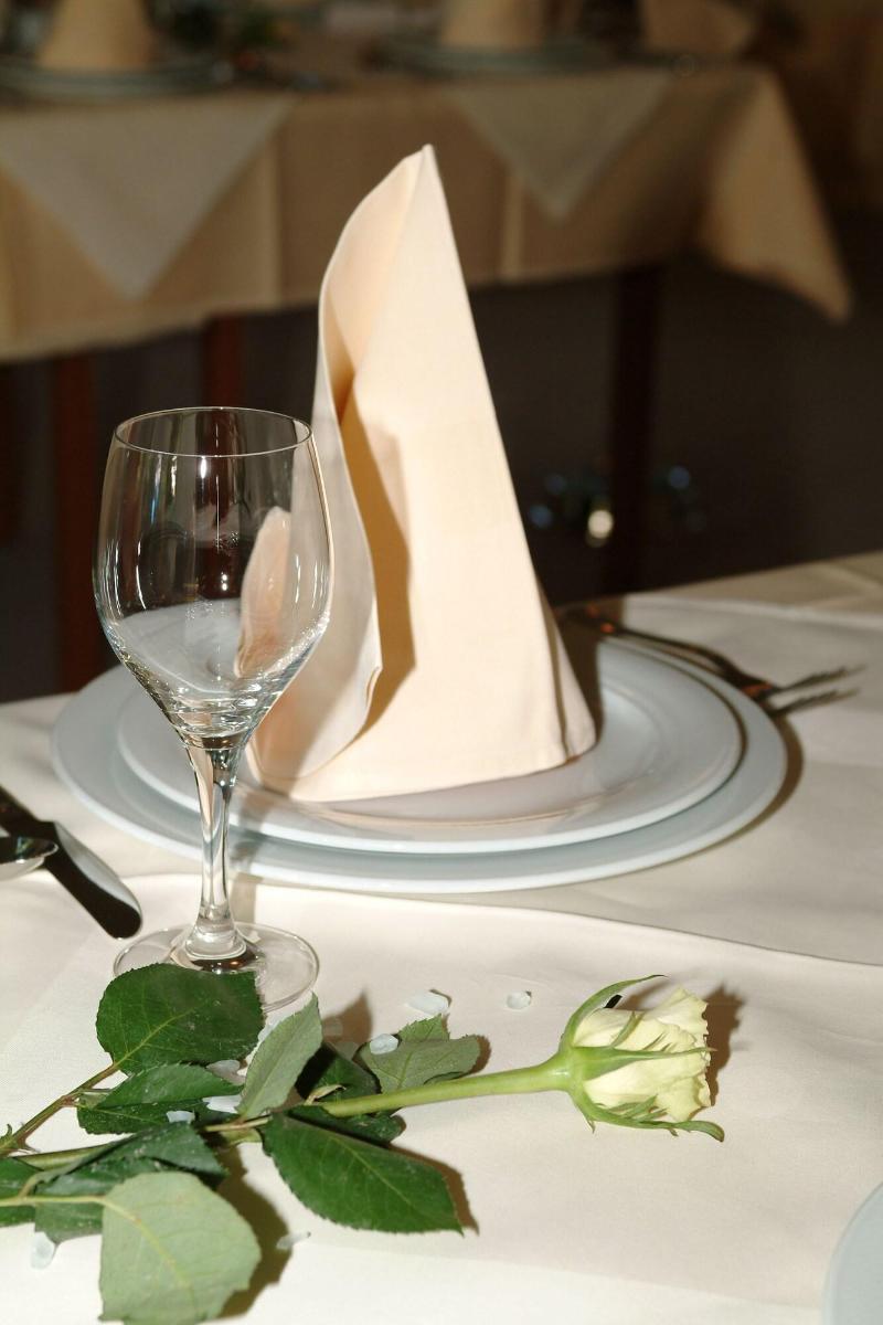 Hotel Tomislavov Dom - Restoran