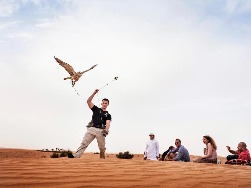 Adagio Premium Dubai Al Barsha - Aktivite