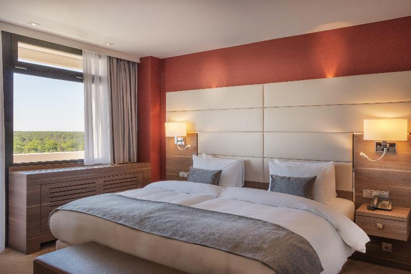 Crowne Plaza Frankfurt Congress Hotel - Oda