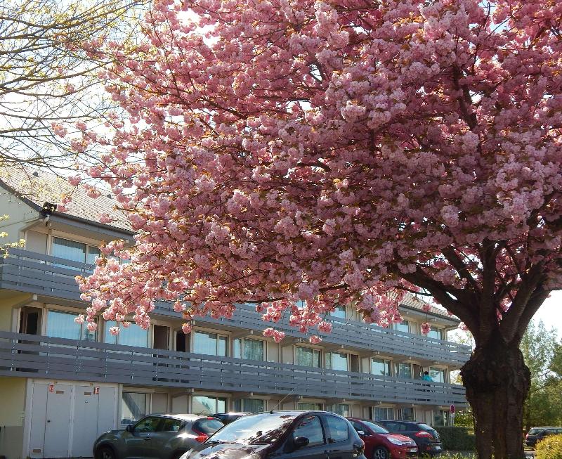 Campanile Reims Est - Taissy - Genel