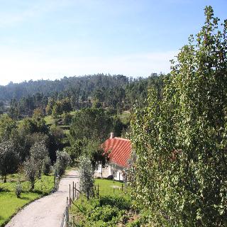 I Love Dao - Casas da Fraga fotoÄŸrafÄ±