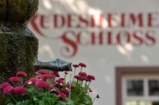 Rudesheimer Schloss fotoÄŸrafÄ±