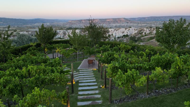 Ariana Sustainable Luxury Lodge - Genel