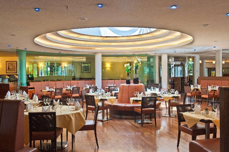 Radisson Blu Park Hotel & Conference Centre - Toplantı