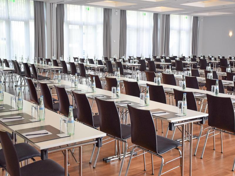 Radisson Blu Park Hotel & Conference Centre - Toplantı