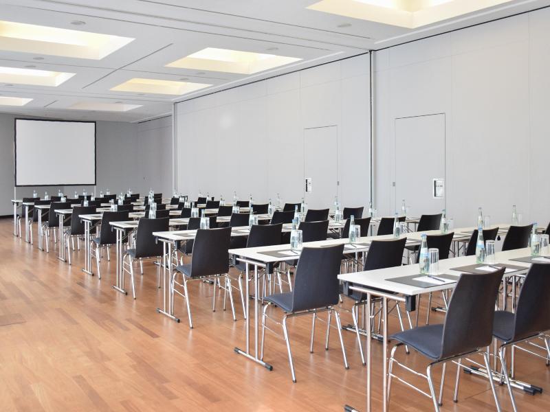 Radisson Blu Park Hotel & Conference Centre - Toplantı