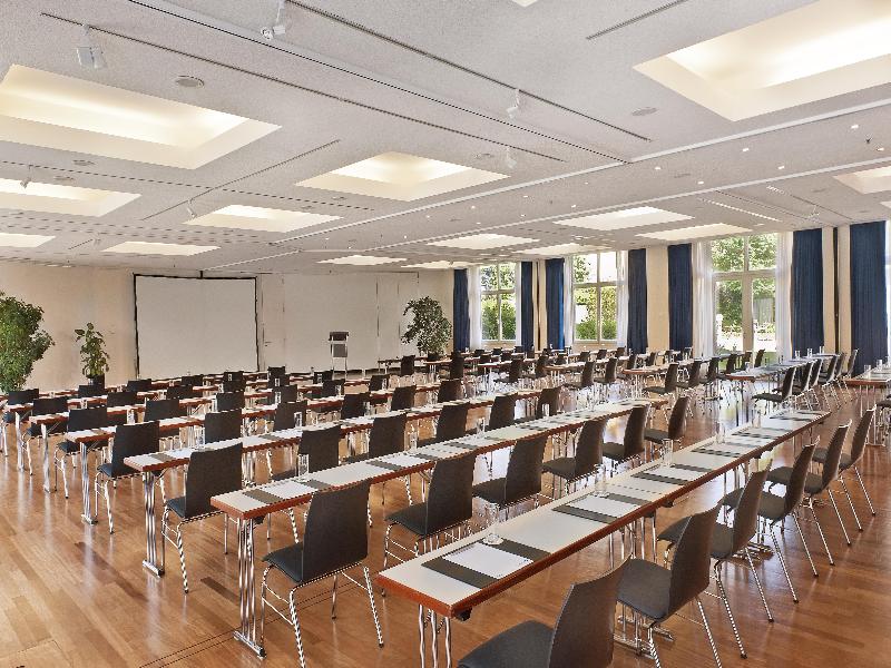 Radisson Blu Park Hotel & Conference Centre - Toplantı