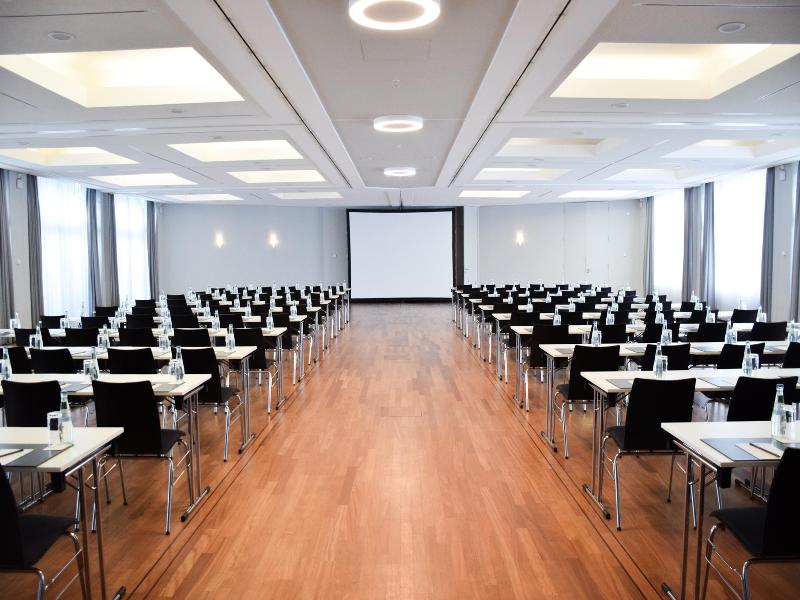 Radisson Blu Park Hotel & Conference Centre - Toplantı
