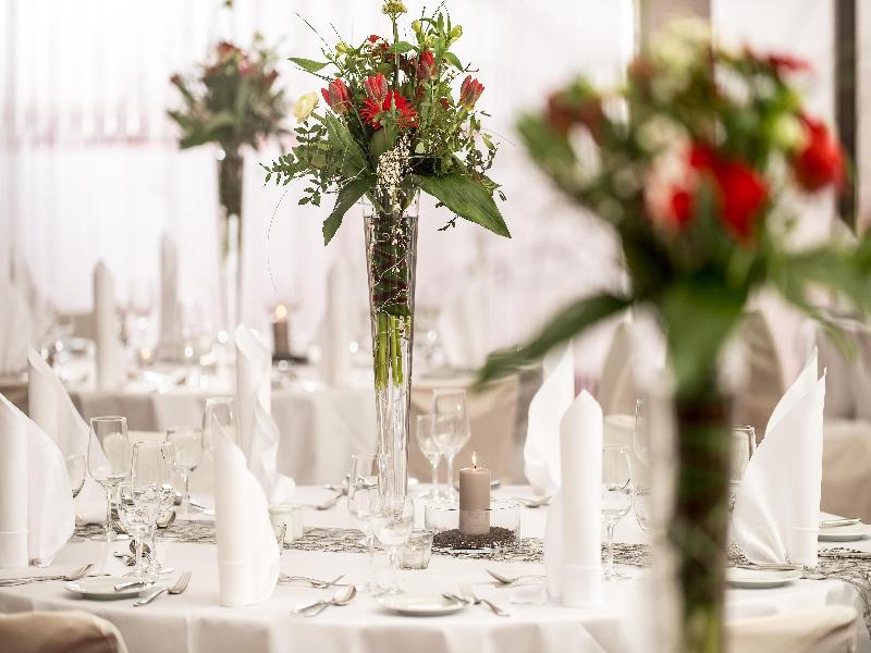 Radisson Blu Park Hotel & Conference Centre - Toplantı