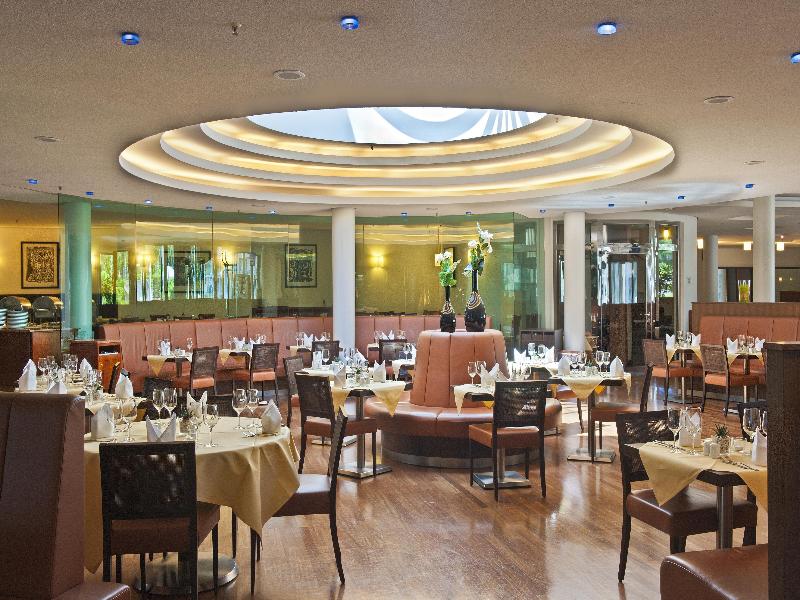 Radisson Blu Park Hotel & Conference Centre - Toplantı