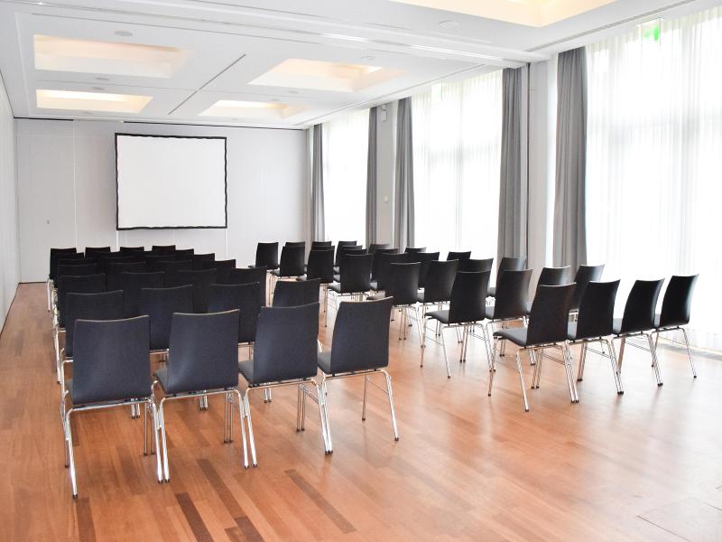 Radisson Blu Park Hotel & Conference Centre - Toplantı