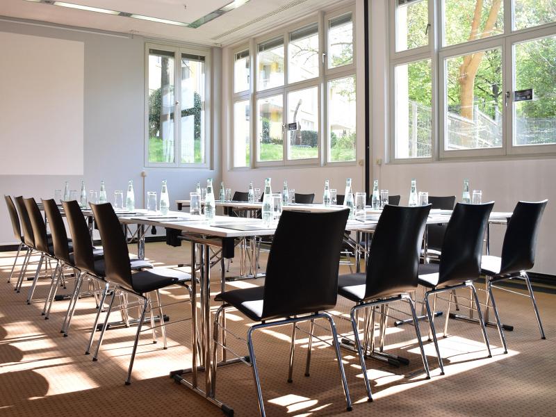 Radisson Blu Park Hotel & Conference Centre - Toplantı