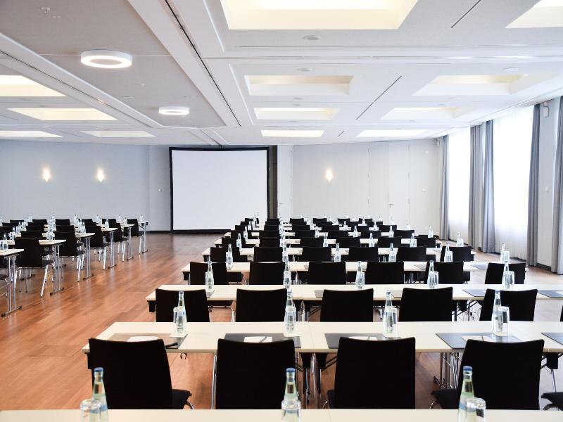 Radisson Blu Park Hotel & Conference Centre - Toplantı