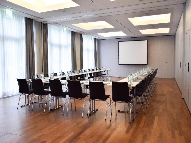 Radisson Blu Park Hotel & Conference Centre - Toplantı
