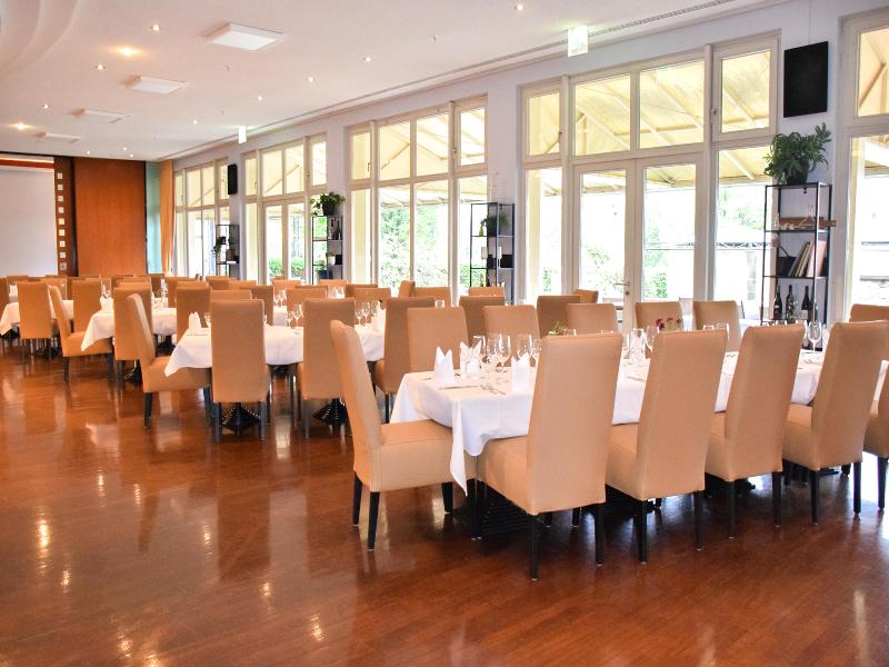 Radisson Blu Park Hotel & Conference Centre - Toplantı