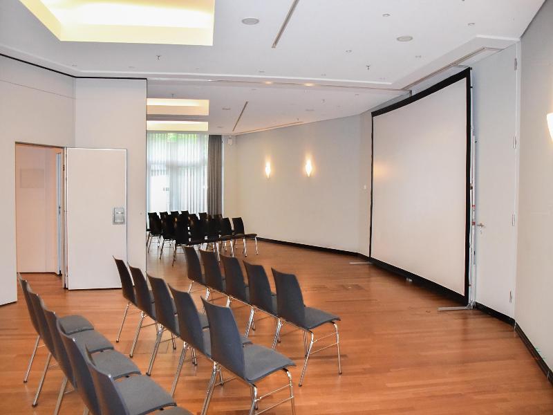Radisson Blu Park Hotel & Conference Centre - Toplantı