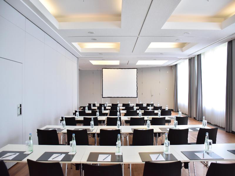Radisson Blu Park Hotel & Conference Centre - Toplantı