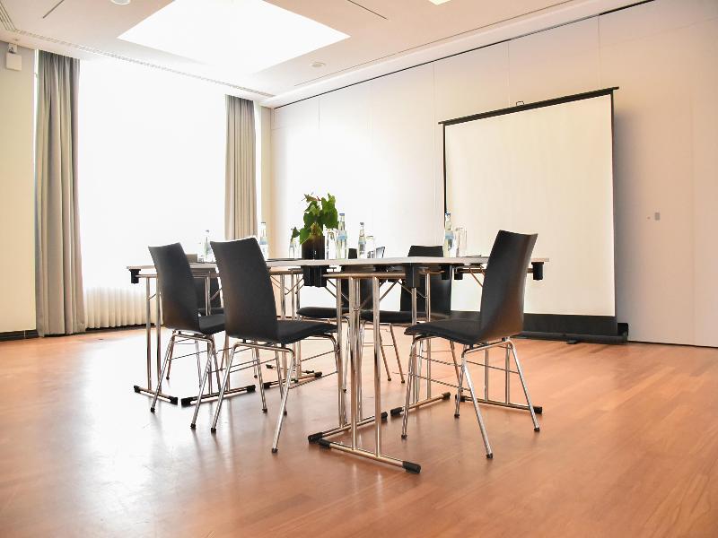 Radisson Blu Park Hotel & Conference Centre - Toplantı