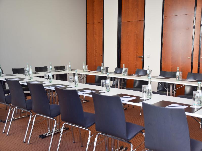 Radisson Blu Park Hotel & Conference Centre - Toplantı